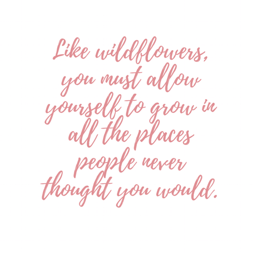 Copy of Copy of AmiralCourbet