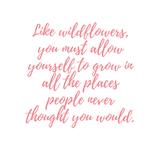 Copy of Copy of AmiralCourbet